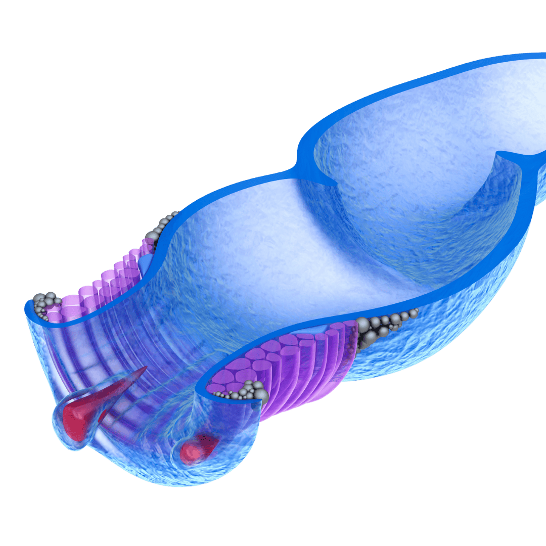 PCOS Treatment